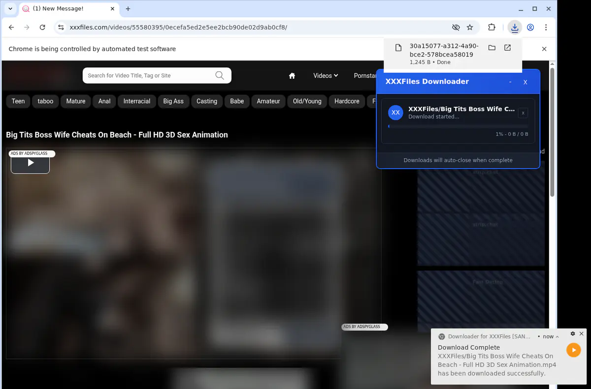 Xxxfiles Video Downloader browser extension screenshot 2