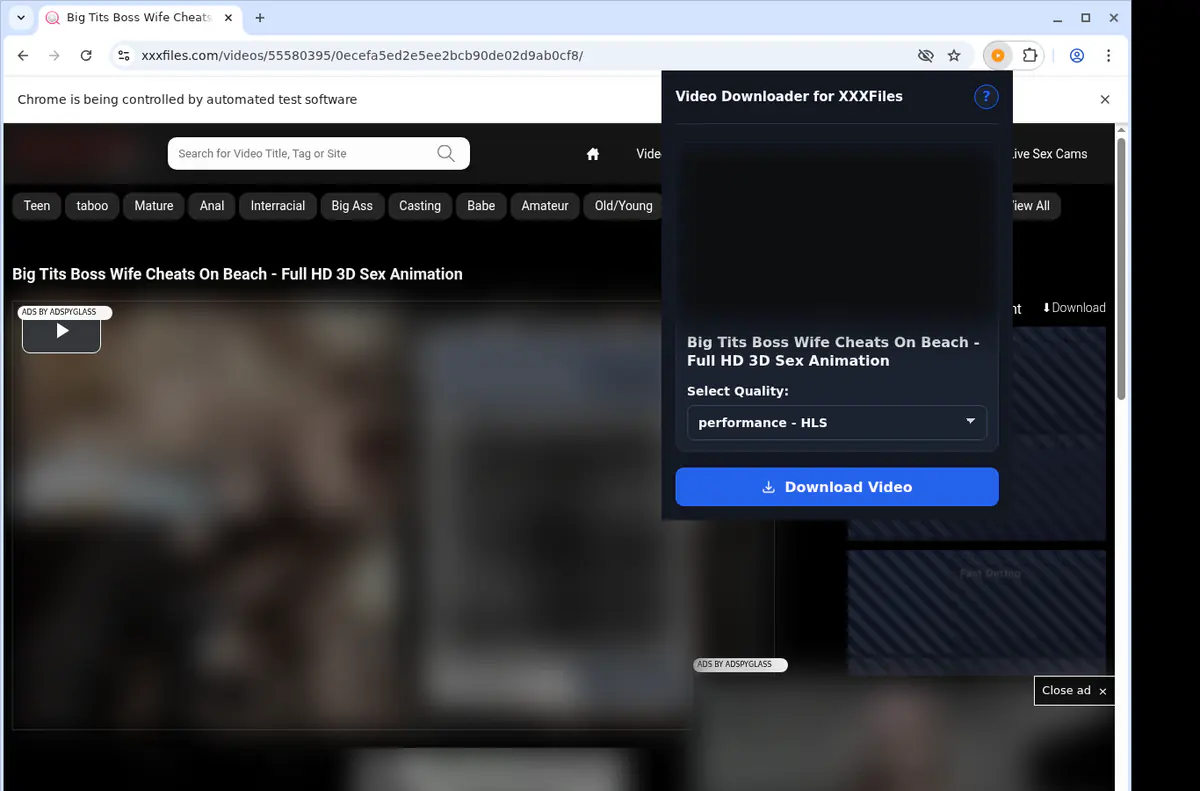 Xxxfiles Video Downloader browser extension screenshot 3